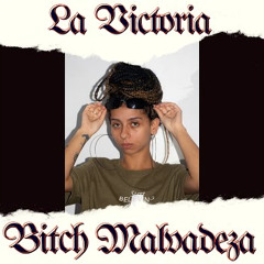 Bitch Malvadeza
