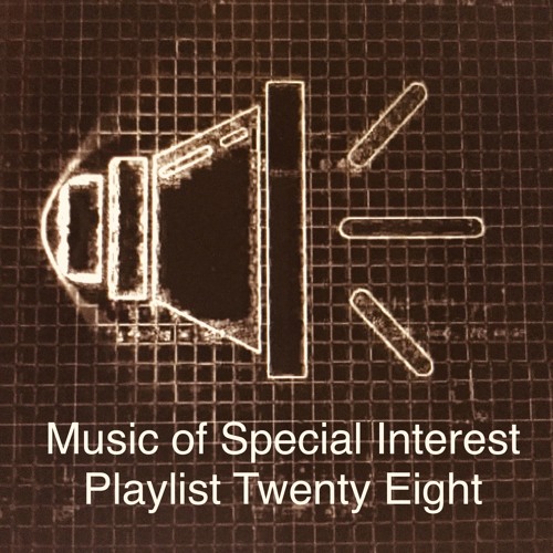 Music of Special Interest Playlist 28
