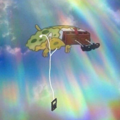 I Took The Wook To Poland (BERNZIKIAL Edit)