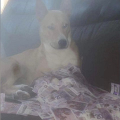 music toilets freestyle