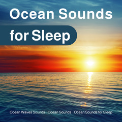Ocean Sounds for Kids