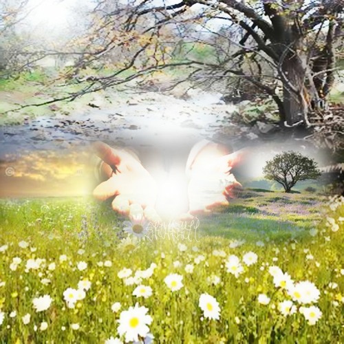 what i need (prod. recyclebin)