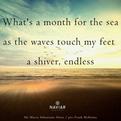 A Month For The Sea - (NaviarHaiku-528)