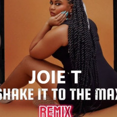 SHAKE IT TO THE MAX RIDDIM - JOIE T CLEAN REMIXES.