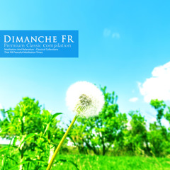 Bach: Cello Suite No.6 In D Major BWV.1012 - I. Prelude