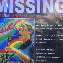 Going Out in Style - GRiZ (rare song)