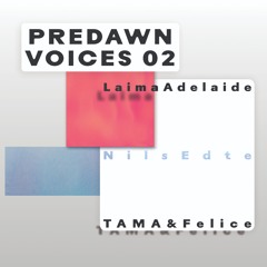 Various Artist - Voices 02