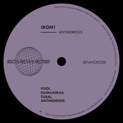 Iron1 - Fool (Original Mix)