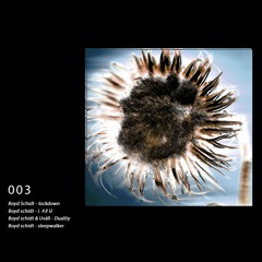 Boyd Schidt - 003