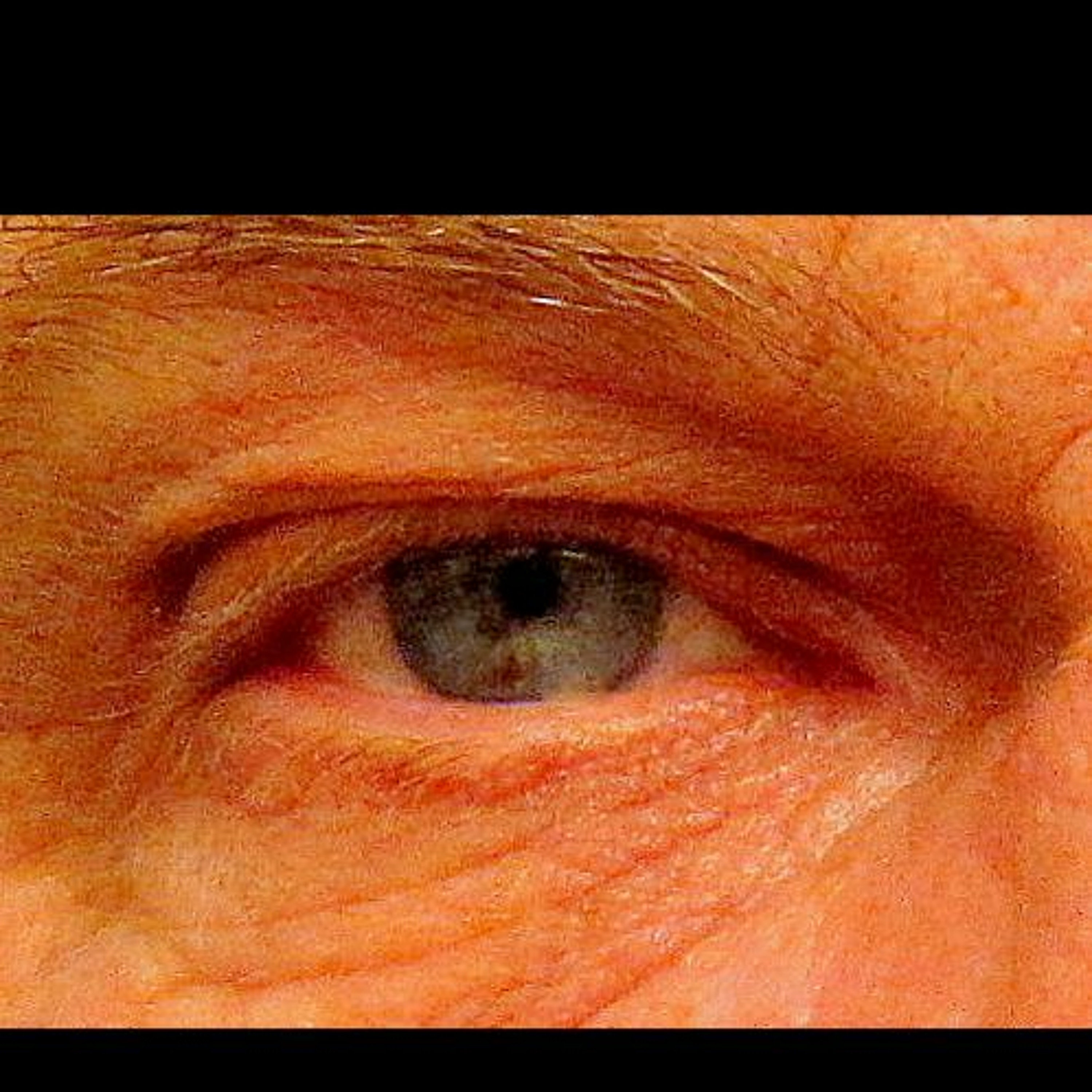 Bill Austin 1 / C.T.U