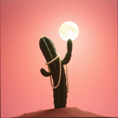 A Cat Named Mouse by ♨️ 🍪