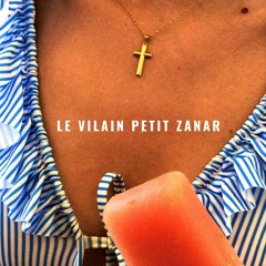 LE VILAIN PETIT ZANAR EP - Groovy Shit (A1)
