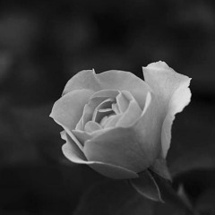 Klonopin - 001/2.0mg [Arbitrary Droplets]