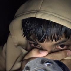 mais um dia triste