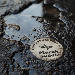Dirtyrawsharks - March Puddle Mix