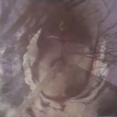Sun Shaper - Still Heart