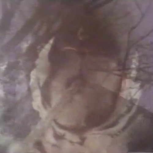 Sun Shaper - Still Heart
