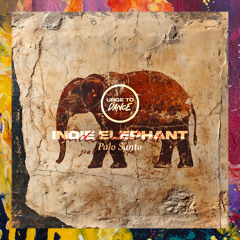 PREMIERE: Indie Elephant — Pank Sonatora [Urge To Dance]