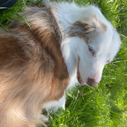 Project Theme Song - 10_4_25, 9.12 PM