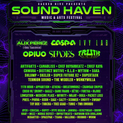 Geodesic Secret Transmission Set ( The Crash Site SoundHaven 2025)