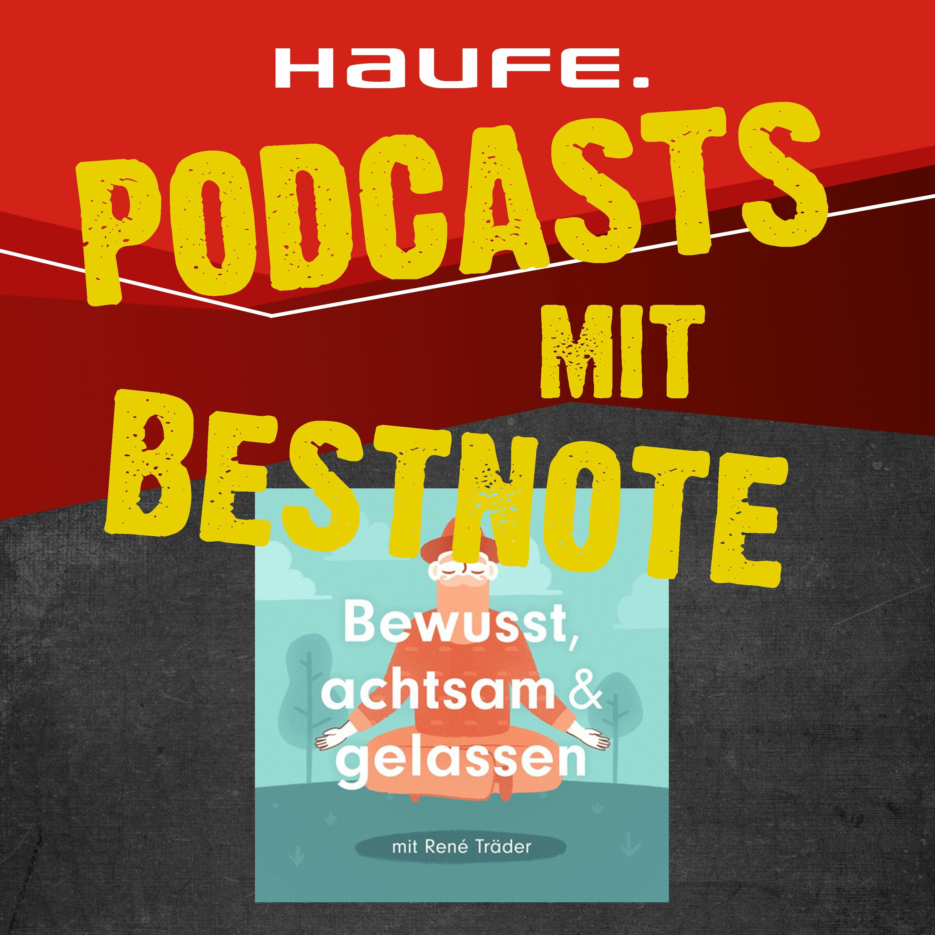 Doris Hammerschmidt - Das Podcast-Buch