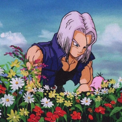 lil crush-crybby