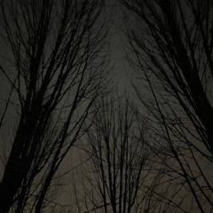 i’ll meet you down this lonely road