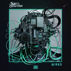 Bigitam - Wired
