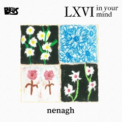 LXVI - nenagh