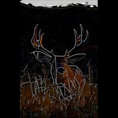 Zombie Deer - Untitled Side A [Excerpt]