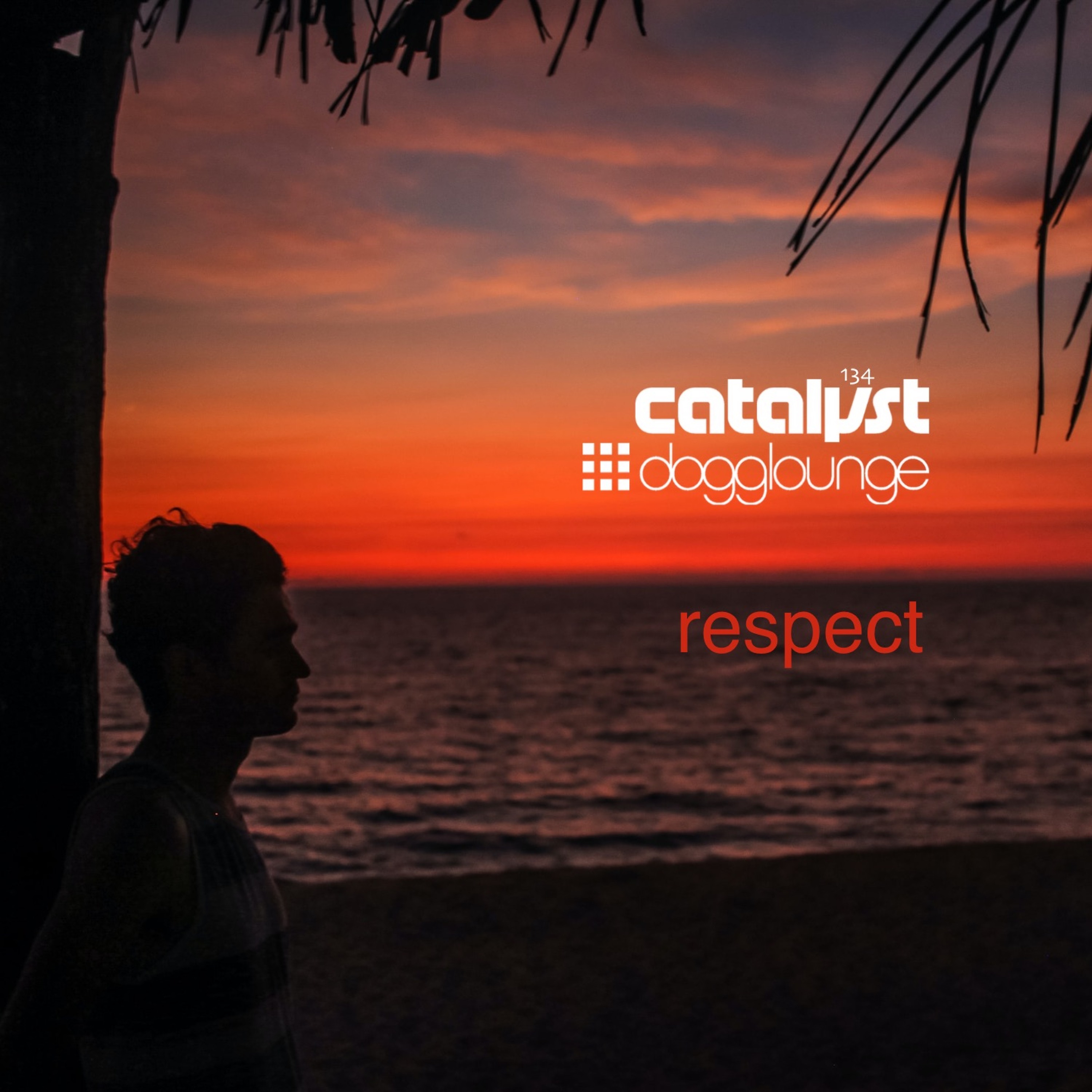 cover of episode DL134 - respect