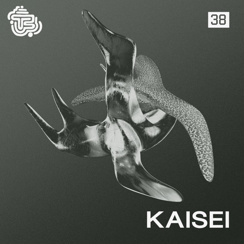 TMS - #38 - kaisei