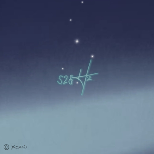 DONG CAM XUC - Xoxad