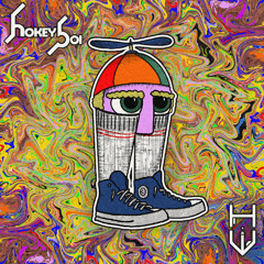 hokey boi - High Socks