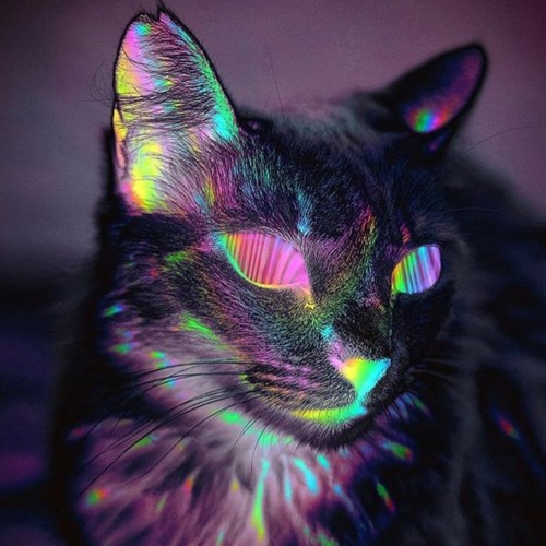 Full Power Heavy Psychedelic Mix (144 - 205 Bpm)