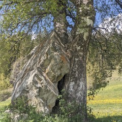 Eine Frau