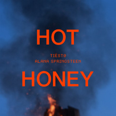 Gabry Ponte,Tiesto-Easy On My Heart Hot Honey (Andrew_Voul Mashup)