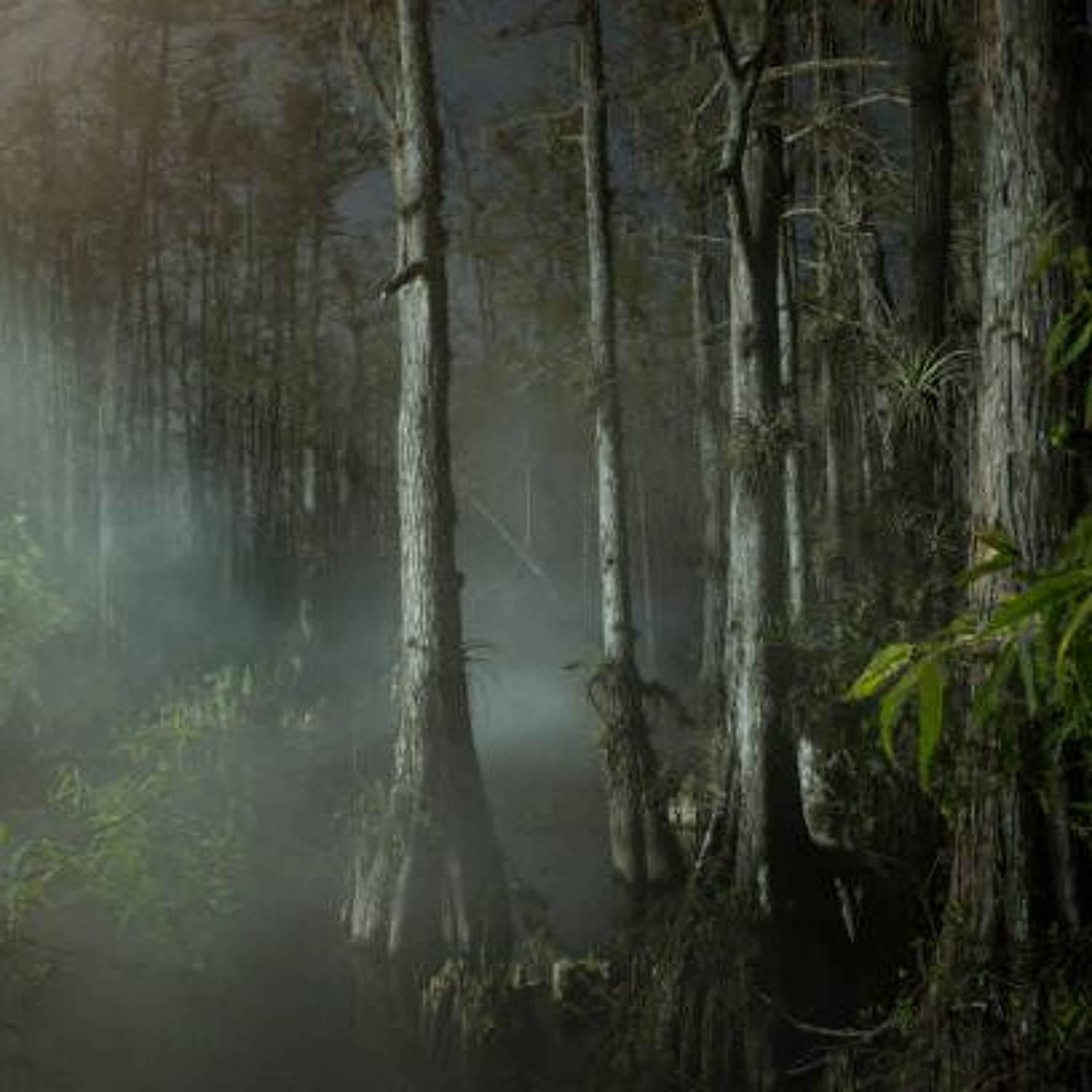 Swamp Gas episode artwork