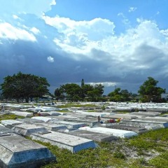 The day the world turned grey