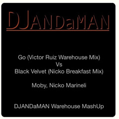 Go (Victor Ruiz Mix) Vs Black Velvet (Nicko Breakfast Mix) - DJANDaMAN Warehouse MashUp