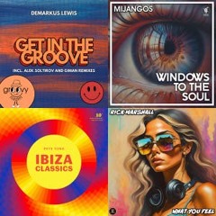 Stevies funk & GROOVE
