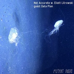 Mutant Radio - Not Accurate! N°8 Data Plan [28.04.2022]