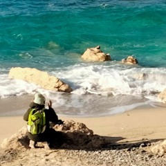 AXIS LIBER Electronics (2022)