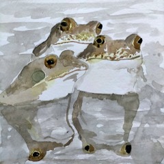 pond