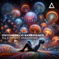 Psychedelic Experience (Original Mix) Electric Machine