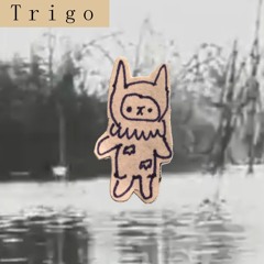Trigo