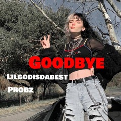 goodbye ft (PROBZ)[official audio]
