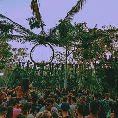 Session 07 - Sunrise in the Tulum Jungle