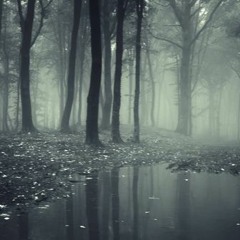 Cromogazz - Misty Hike