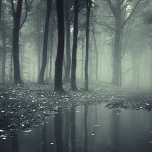 Cromogazz - Misty Hike